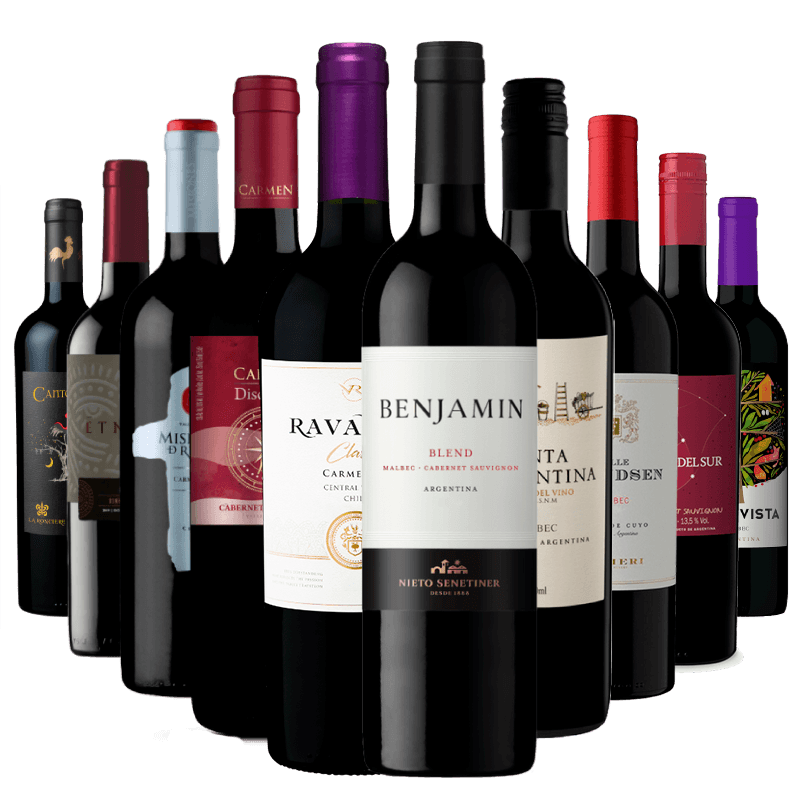 Kit-5-Vinhos-Chilenos---5-Vinhos-Argentinos