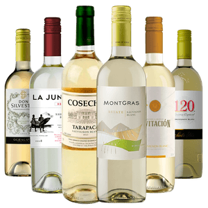 Kit 6 Vinhos Sauvignon Blanc