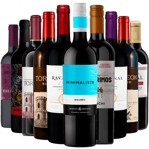 Kit 10 Vinhos Tintos Best Sellers