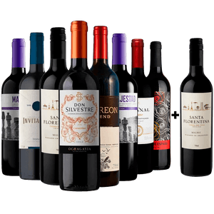 Kit 8 Vinhos Tintos + 1 Malbec Argentino Grátis