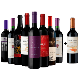 Kit 8 Vinhos Tintos + 1 Carménère Chileno Grátis