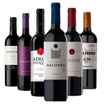 Kit-6-Vinhos-Encorpados