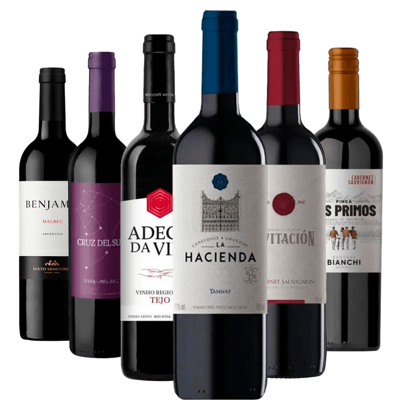 Kit-6-Vinhos-Encorpados