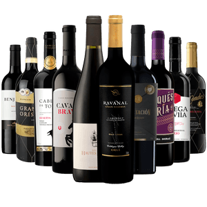 Kit 10 Vinhos Tintos Premium