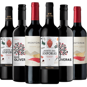 Kit Seleção 6 Vinhos Para Presentear