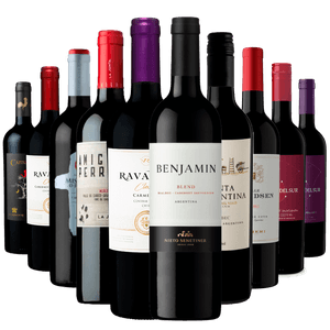 Kit 5 Vinhos Chilenos + 5 Vinhos Argentinos