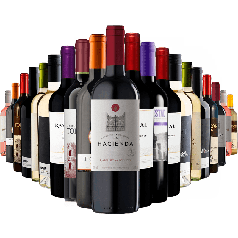 Kit-Adega-Cheia-20-Vinhos