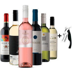 Kit Compre 6 Vinhos + 1 Saca Rolhas Grátis