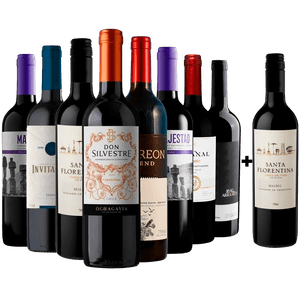 Kit 8 Vinhos Tintos + 1 Malbec Argentino Grátis