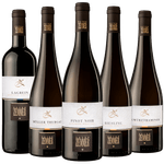 Kit-5-vinhos-Vinicola-Peter-Zemmer