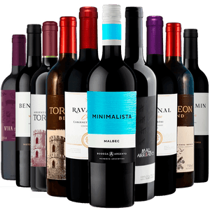 Kit 10 Vinhos Tintos Best Sellers