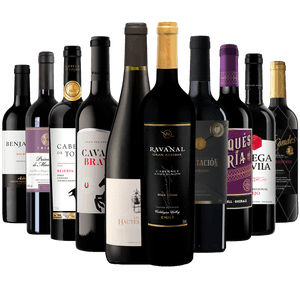 Kit 10 Vinhos Tintos Premium