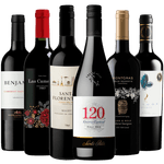 Kit 6 Vinhos Tintos Para Iniciantes.png