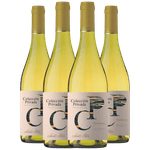 Kit--4-Vinhos-Santa-Rita-Coleccion-Privada-Chardonnay-.png