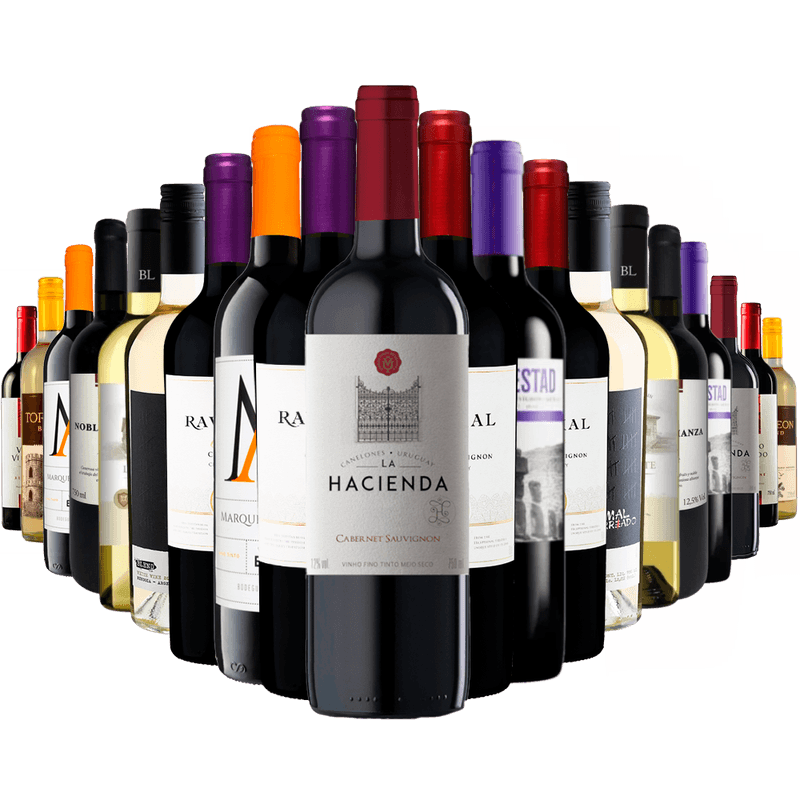 Kit Adega Cheia 20 Vinhos
