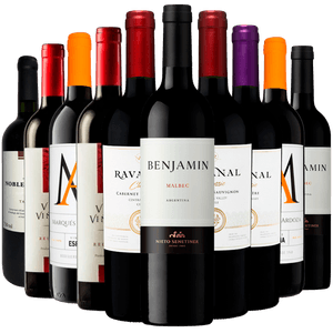 Kit 10 Vinhos Tintos Best Sellers