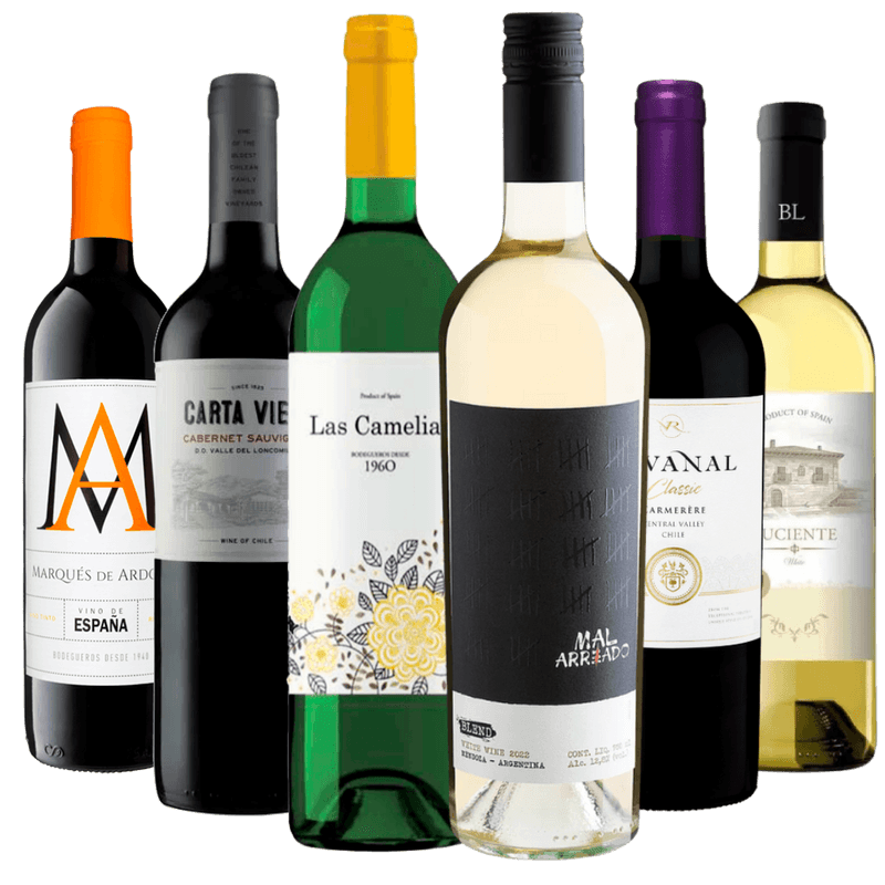 Kit 6 Vinhos por menos de R- 24 a Garrafa