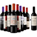 Kit 8 Vinhos Tintos + 1 Malbec Argentino Gratis