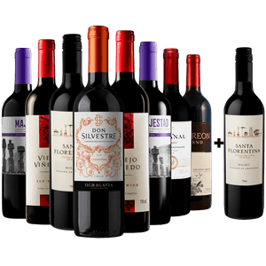 Kit 8 Vinhos Tintos + 1 Malbec Argentino Grátis