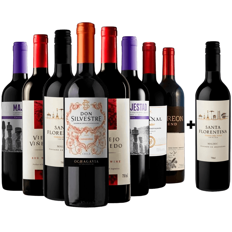 Kit 8 Vinhos Tintos + 1 Malbec Argentino Gratis