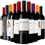 Kit 10 Vinhos Tintos Best Sellers