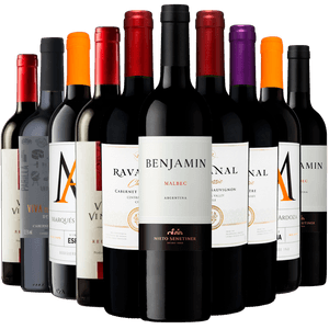 Kit 10 Vinhos Tintos Best Sellers