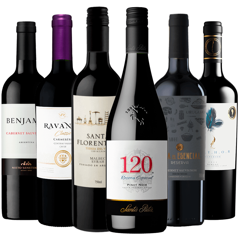 Kit-6-Vinhos-Tintos-Para-Iniciantes