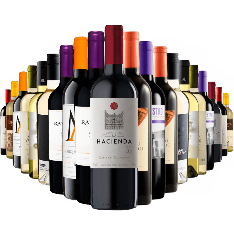 Kit Adega Cheia 20 Vinhos
