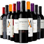 Kit 10 Vinhos Tintos Best Sellers