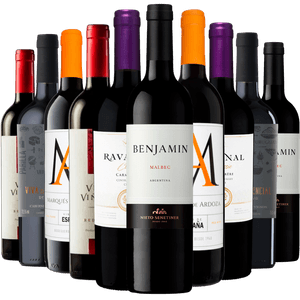 Kit 10 Vinhos Tintos Best Sellers