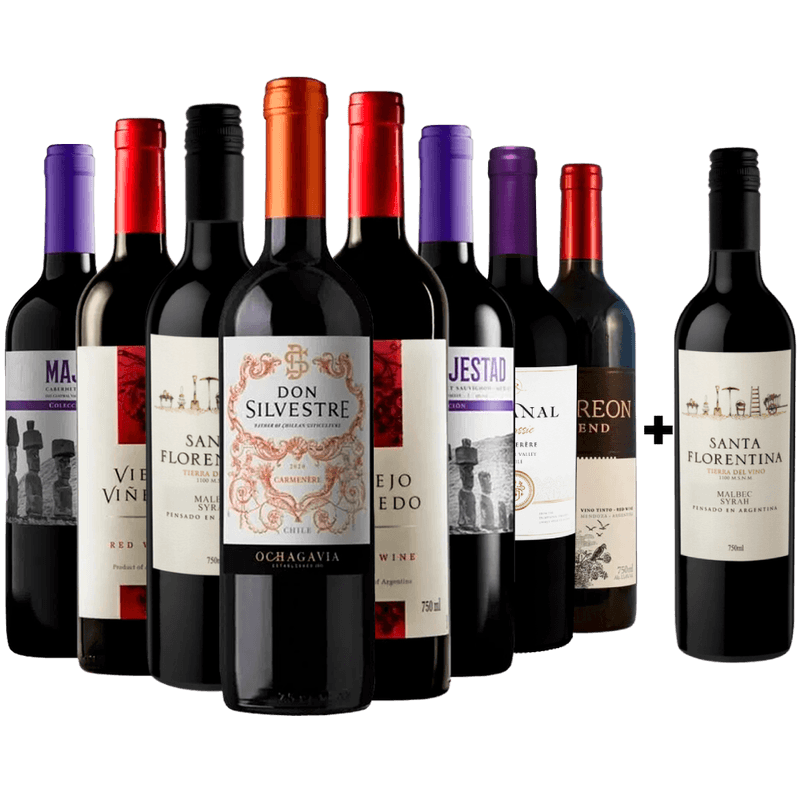 Kit 8 Vinhos Tintos + 1 Malbec Argentino Gratis