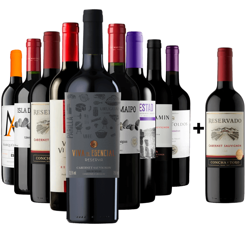 Kit 9 Tintos Mais Vendidos + Cabernet Gratis