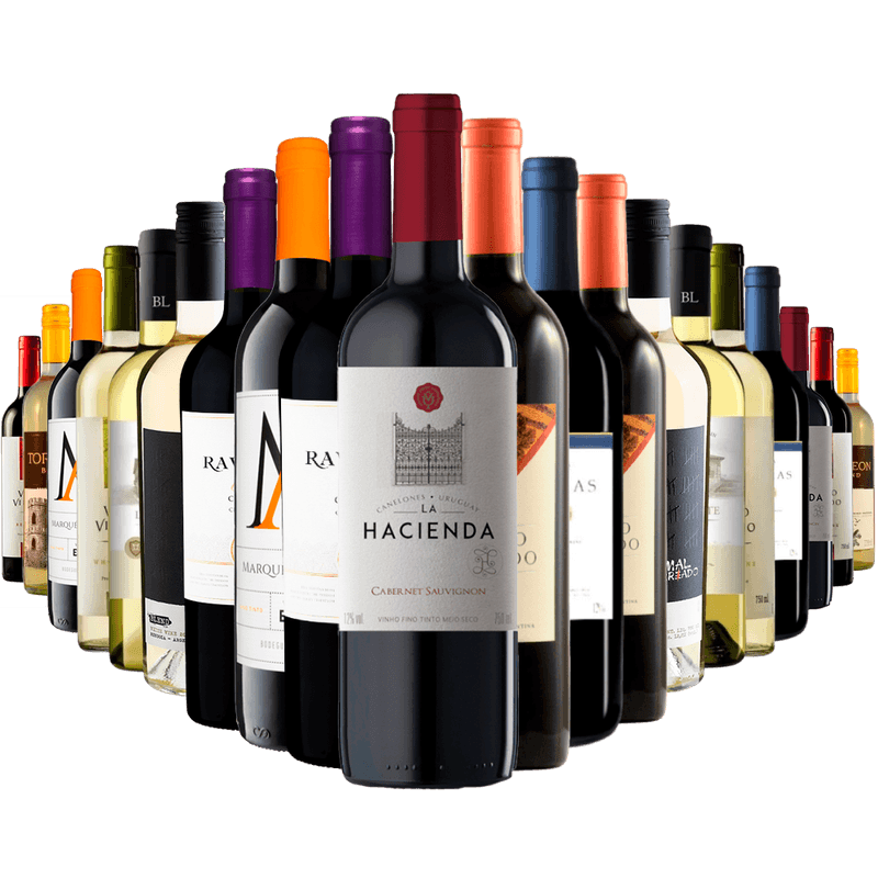 Kit Adega Cheia 20 Vinhos