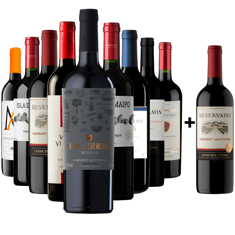 Kit 9 Tintos Mais Vendidos + Cabernet Gratis