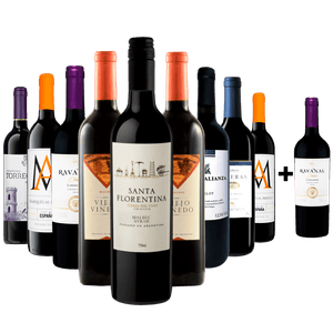 Kit 9 Vinhos + 1 Vinho Chileno Grátis