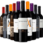 Kit 10 Vinhos Tintos Best Sellers