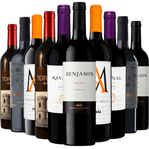 Kit 10 Vinhos Tintos Best Sellers