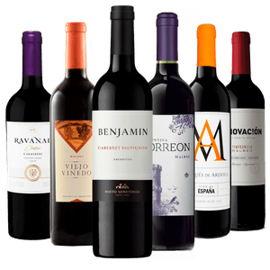 Kit 6 Vinhos Tintos Essenciais
