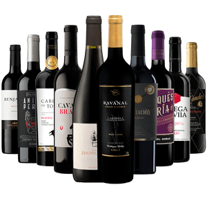 Kit 10 Vinhos Tintos Premium