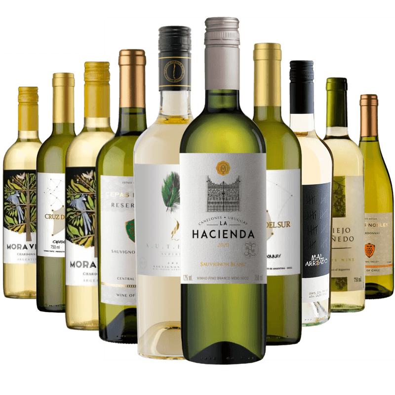 Kit 10 Vinhos Brancos Mais Vendidos