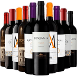 Kit 10 Vinhos Tintos Best Sellers