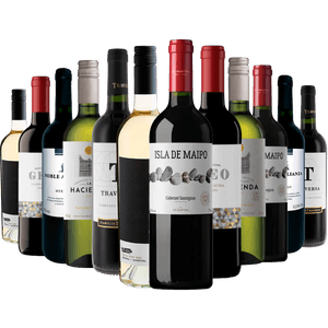 Kit 12 Vinhos Best Sellers América do Sul