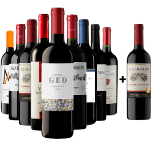 Kit 9 Tintos Mais Vendidos + Cabernet Grátis