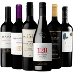 Kit-6-Vinhos-Tintos-Para-Iniciantes-