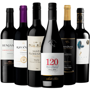 Kit 6 Vinhos Tintos Para Iniciantes