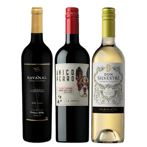 Kit De Vinhos Para Iniciantes