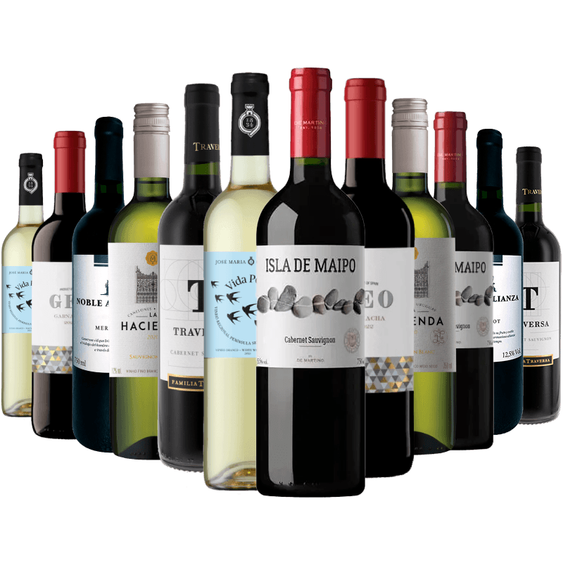 Kit 12 Vinhos Best Sellers America do Sul