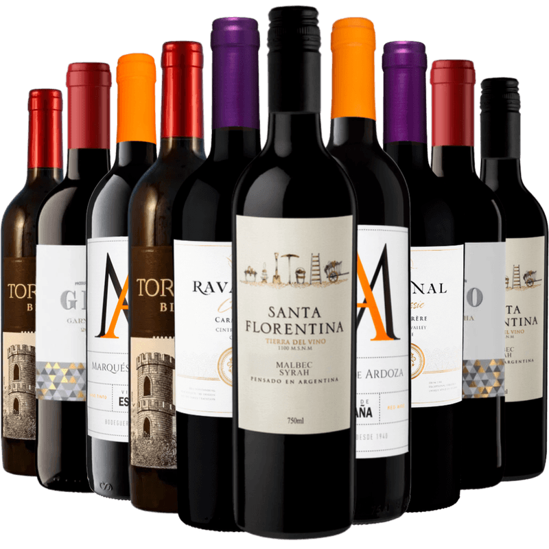 Kit-10-Vinhos-Tintos-Best-Sellers