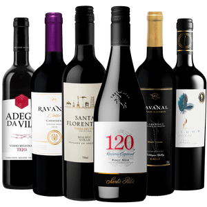 Kit 6 Vinhos Tintos Para Iniciantes