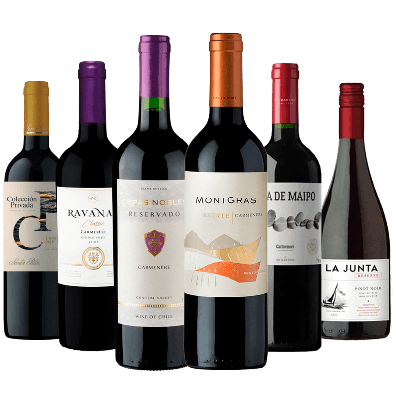 Kit-6-Vinhos-Tintos-Chilenos